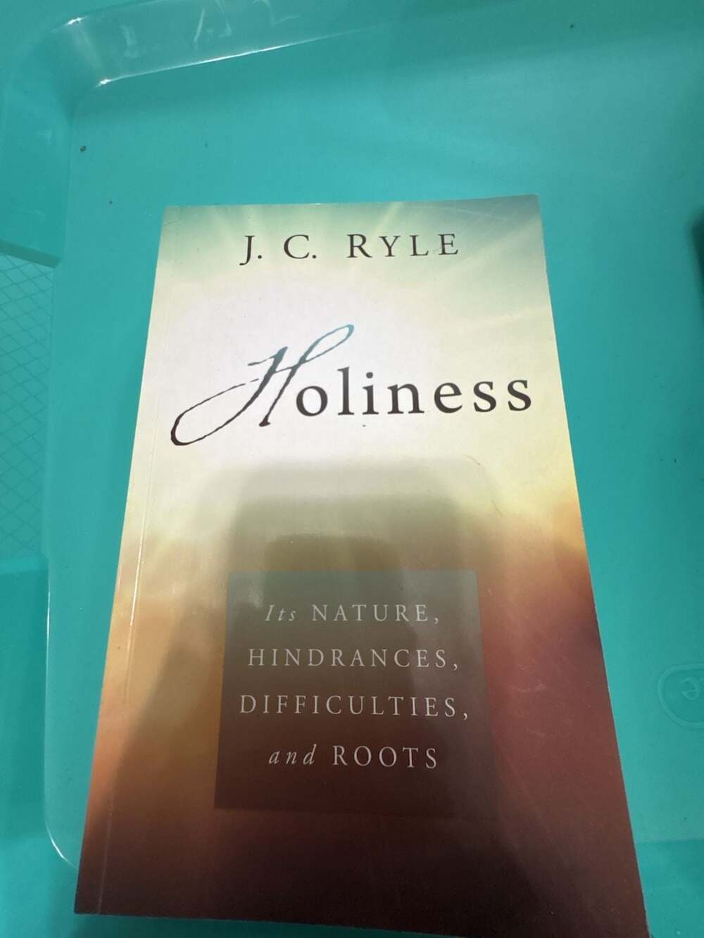 Holiness: Its Nature, Hindrances, Difficulties, and Roots by J. C. Ryle